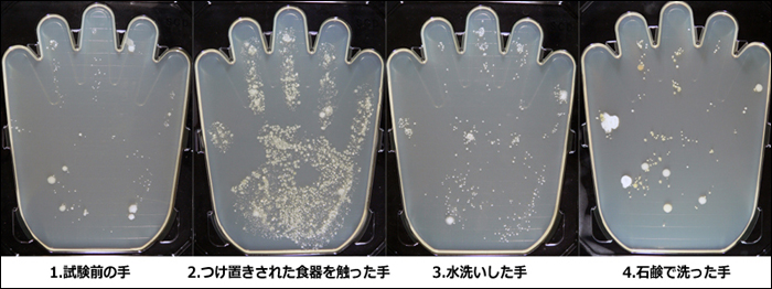 手洗いによる除菌効果